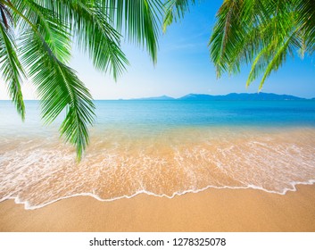 Tropical Beach Coconut Palm Stock Photo (Edit Now) 1278325078