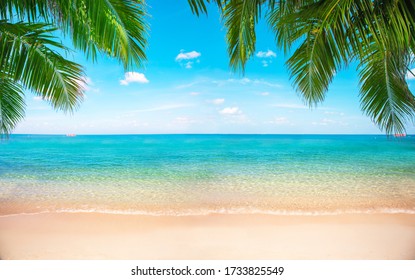 Tropical Beach With Coconut Palm