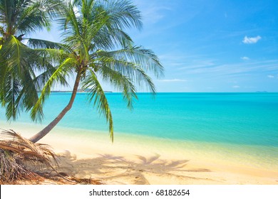 482,618 Beach backdrops Images, Stock Photos & Vectors | Shutterstock