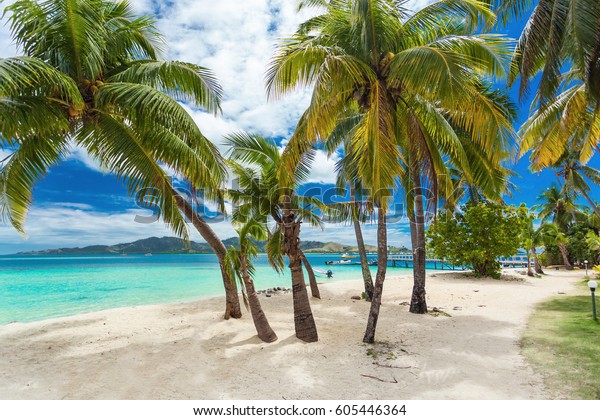 Photo De Stock De Plage Tropicale Avec Cocotiers Et Lagon