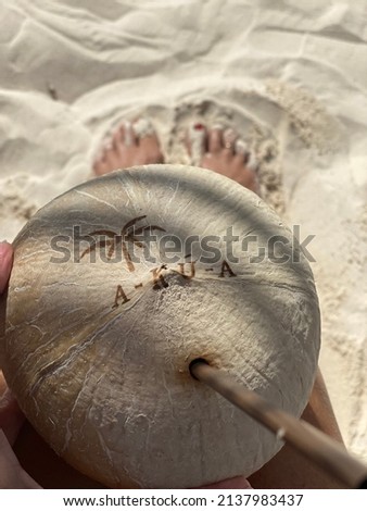 tropical, beach, coconut, toes sand palm tree peace calm meditation hydrate