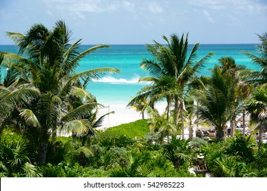 Tropical Beach With Coconuts Tree/ Resort In Riviera Maya. Mexico