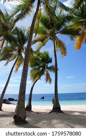 Tropical Beach In Comoros Islands