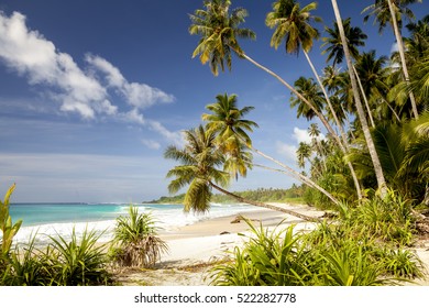 Tropical Beach In Indonesia Sumatra