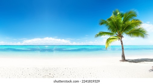 Tropical and Beach Island Landscape Beautiful View 