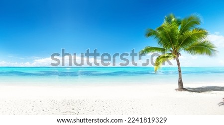 Tropical and Beach Island Landscape Beautiful View 
