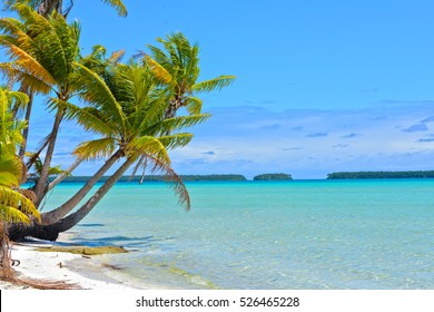 Plage Tahiti High Res Stock Images Shutterstock
