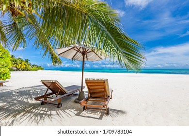 Tropical Beach Nature As Summer Landscape With Lounge Chairs And Palm Trees And Calm Sea For Beach Banner. Luxurious Travel Landscape, Beautiful Destination For Vacation Or Holiday. Beach Scene
