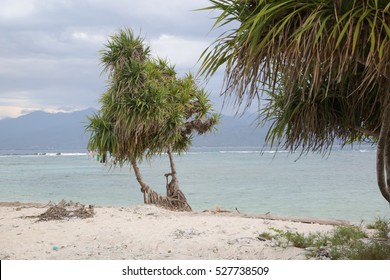 Tropical Beach, No People