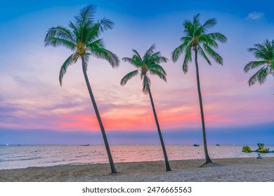 Tropical beach with palm on beautiful sandy beach in Phu Quoc island, Vietnam, sunset sky. This is one of the best beaches of Vietnam. - Powered by Shutterstock