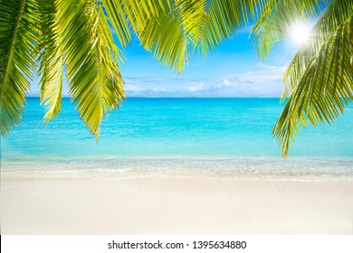 Tropical Beach Palm Tree Sunshine Stock Photo 1395634880 | Shutterstock