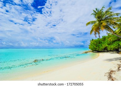 Tropical beach with palm tree, white sand and clear water - Shutterstock ID 172705055
