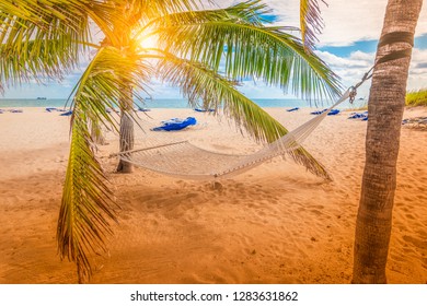 Tropical beach with palm trees and hammock on a sunny day.  Fort Lauderdale, Florida