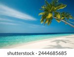 Tropical beach and palm trees, The Maldives, Indian Ocean, Asia
