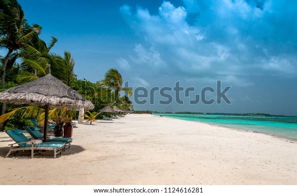 Tropical Beach Palms On Background Island Stock Photo Edit Now