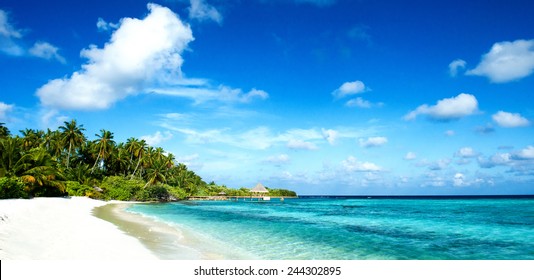 Tropical Beach Panorama