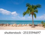 Tropical beach paradise. Caribbean island with palm trees. Blue water. White sand and ocean horizon. Perfect summer vacation scenery in Key West, Florida USA. Exotic nature. Beautiful seascape