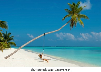 Tropical beach paradise  with beach swing  or hammock with girl in white swimsuit  and white sand. Luxury beach scene vacation summer holiday. Exotic island nature travel destination