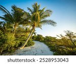 Tropical beach pathway on Sanibel Island Florida with palm trees and white sand beach blue skies.