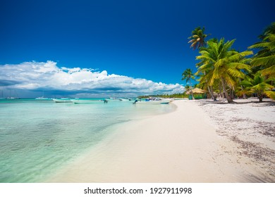 Tropical Beach In Punta Cana, Dominican Republic