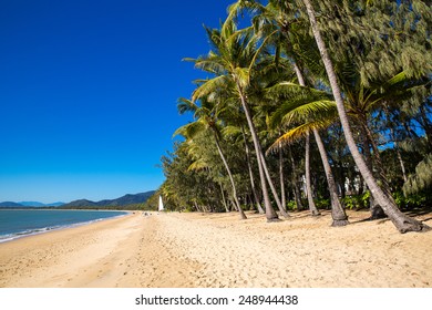 Tropical Beach In Queensland, Australia.