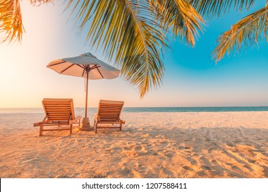 Tropical beach resort hotel background  as summer landscape with lounge chairs and palm trees in sun rays and calm sea for beach banner. Luxury vacation and holiday destination concept - Shutterstock ID 1207588411