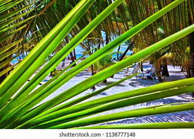 A tropical beach - Roatan, Honduras.  Cruise tourists soak up sun and fun in on the beach and play in the ocean