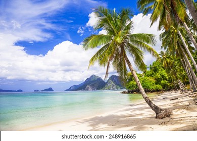 Tropical Beach Scenery