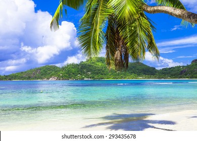 Tropical Beach Scenery Seychelles Island Mahe Stock Photo 293435678 ...