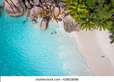 Tropical beach with sea and palm taken from drone. Seychelles famous shark beach - aerial photo