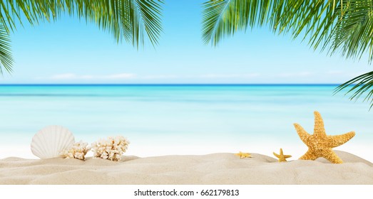 Tropical beach with sea star on sand, summer holiday background. Travel and beach vacation, free space for text.