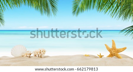 Tropical beach with sea star on sand, summer holiday background. Travel and beach vacation, free space for text.