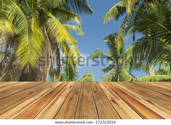 palm tree ocean waves pictures