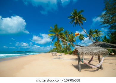 Tropical Beach In Sri Lanka