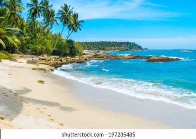 Tropical Beach In Sri Lanka