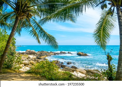 Tropical Beach In Sri Lanka