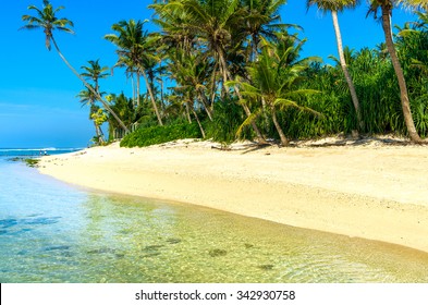 Tropical Beach In Sri Lanka