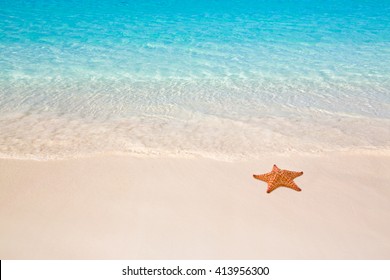 Tropical Beach With Starfish