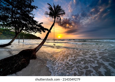 Tropical beach sunrise landscape with ocean waves and beach swings or coconut tree and sunrise sky with white sand. Perfect beach scene vacation and summer vacation concept.