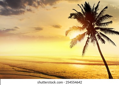 Tropical beach sunrise (sunset) with coconut palm tree silhouettes