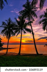 Tropical Beach At Sunset