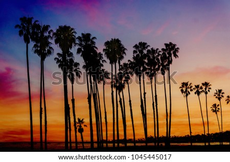 Tropical Beach sunset with hight Palm trees sihouette near the ocean in California 