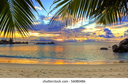 Tropical beach at sunset - nature background