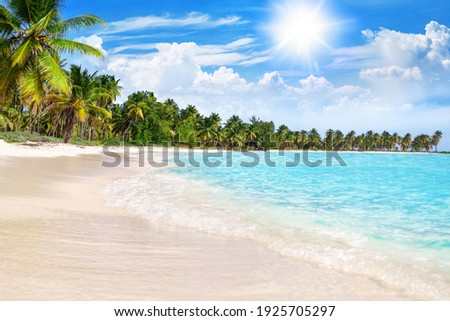 Tropical beach, turquoise sea water, ocean wave, yellow sand, green palms, sun blue sky, white clouds, beautiful seascape, summer holidays, exotic island vacation, caribbean travel, maldives landscape