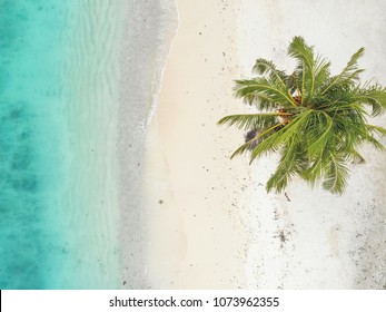 Tropical Beach In Vanuatu By Drone