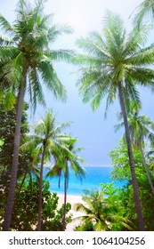 Tropical beach view