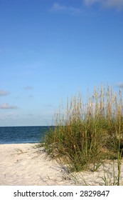 Tropical Beach View With Seaoats. Madeira Beach Florida