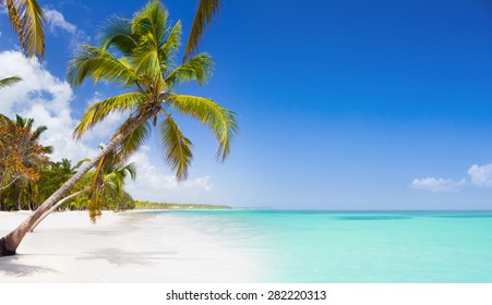 1000 Plage Punta Cana Stock Images Photos Vectors