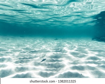 tropical blue ocean underwater background - luxury nature pattern - Shutterstock ID 1382011325