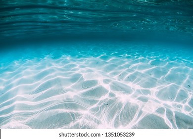 Tropical blue ocean with white sand underwater in Hawaii - Shutterstock ID 1351053239